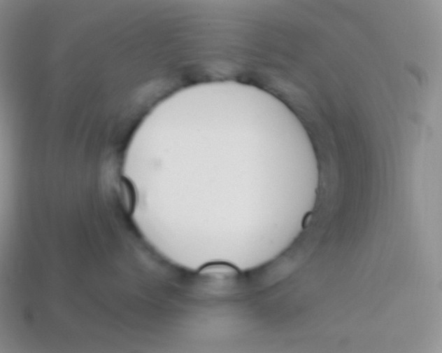 X0000113610768200910161929