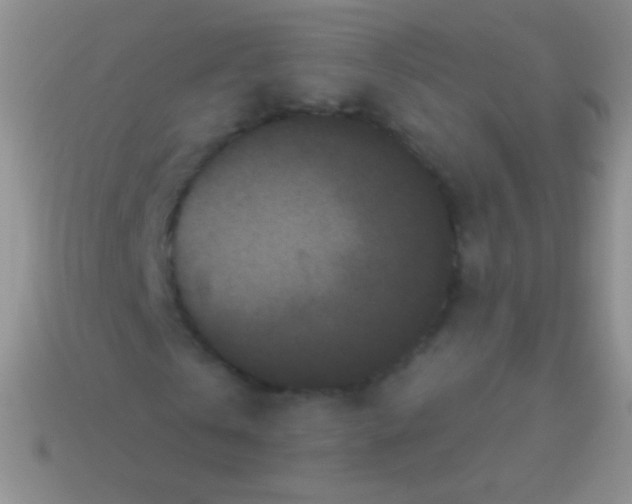 X0000113610769200910161928