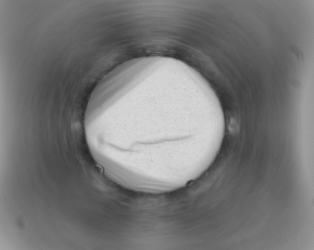 X0000113610771200910161928