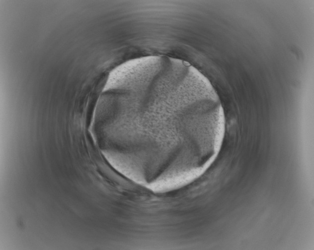 X0000113610772200910161928