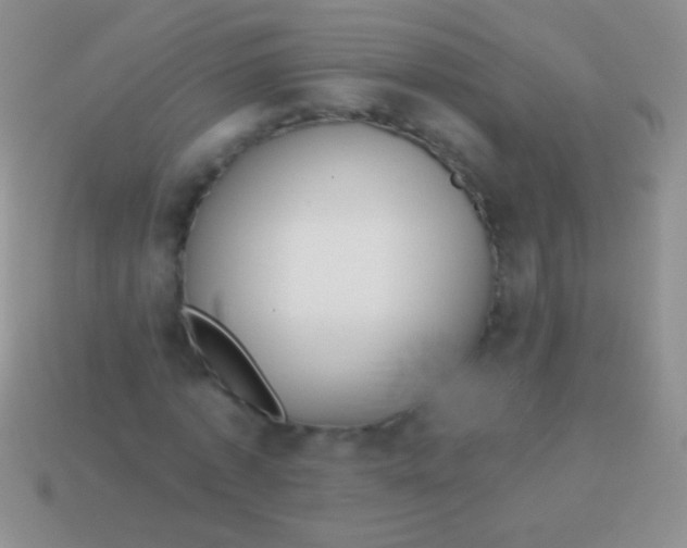 X0000113610773200910161928