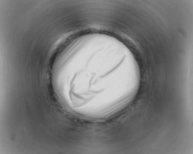 X0000113610776200910161928