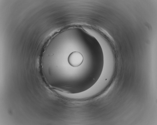 X0000113610777200910161928