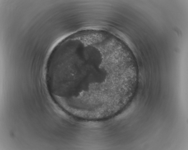 X0000113610779200910161928