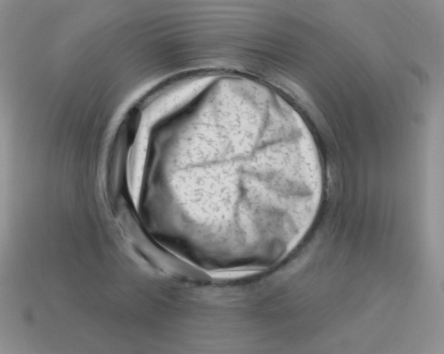 X0000113610780200910161928