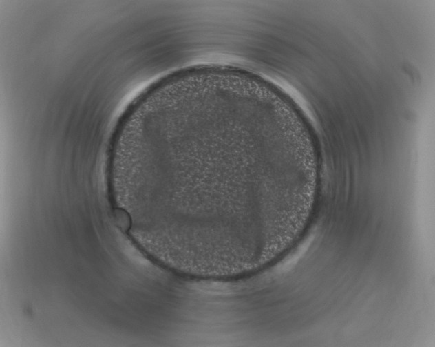 X0000113610783200910161928