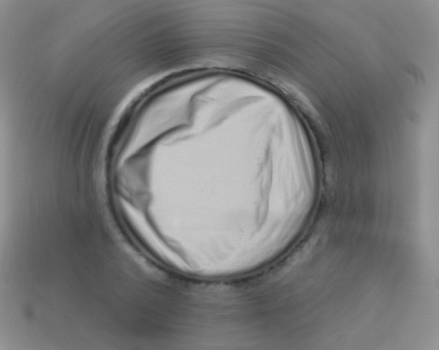 X0000113610784200910161928