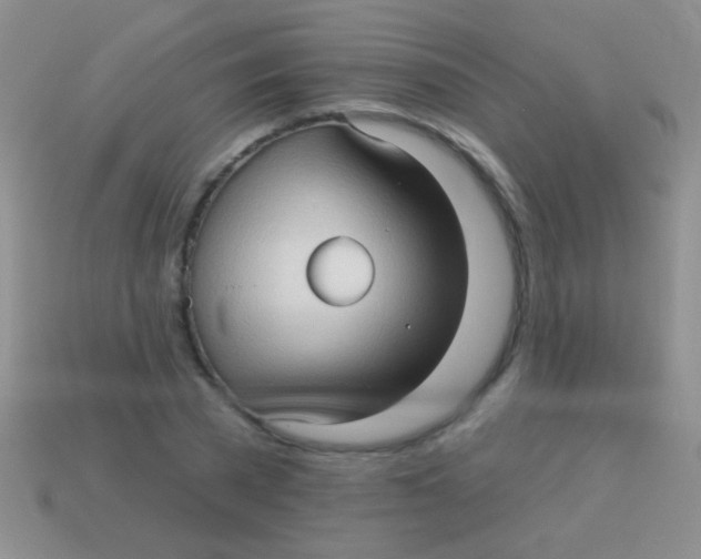 X0000113610785200910161928