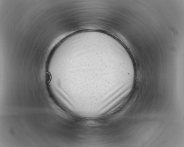 X0000113610787200910161928