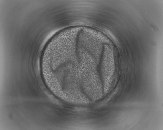 X0000113610788200910161928