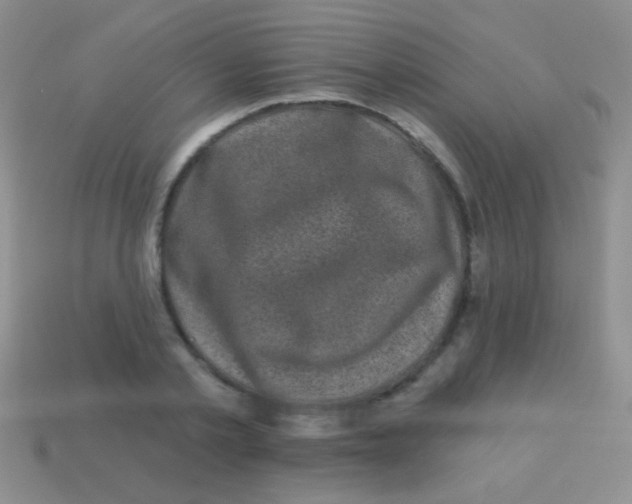 X0000113610789200910161928