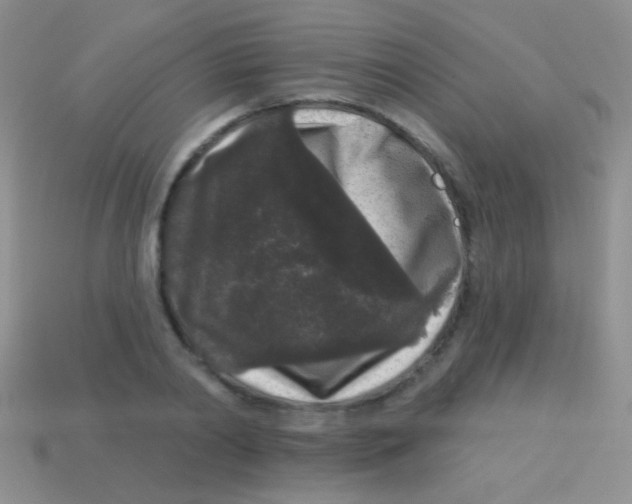 X0000113610790200910161928