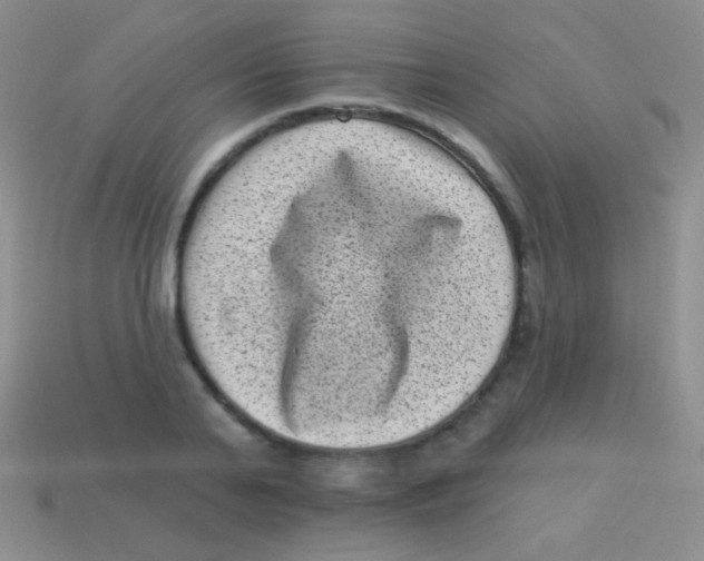 X0000113610791200910161928