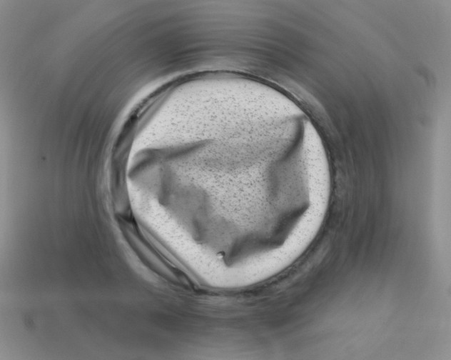 X0000113610792200910161928