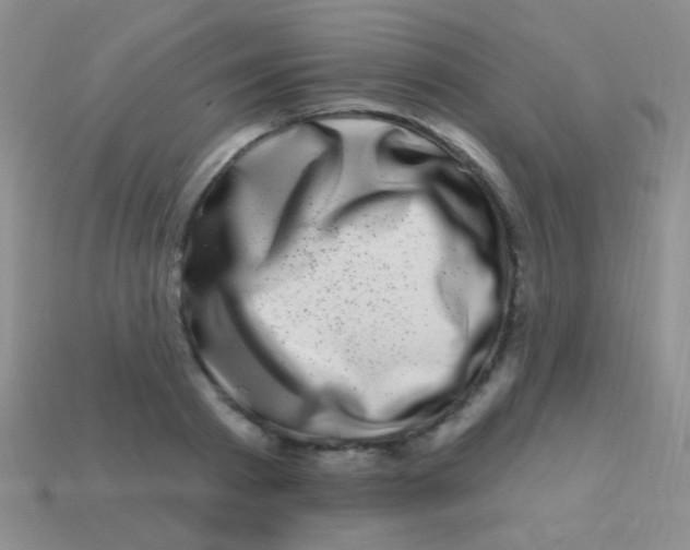 X0000113610793200910161928