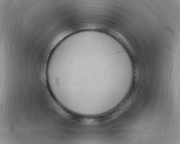 X0000113610794200910161928