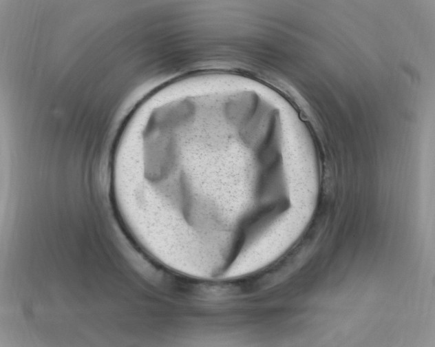 X0000113610795200910161928