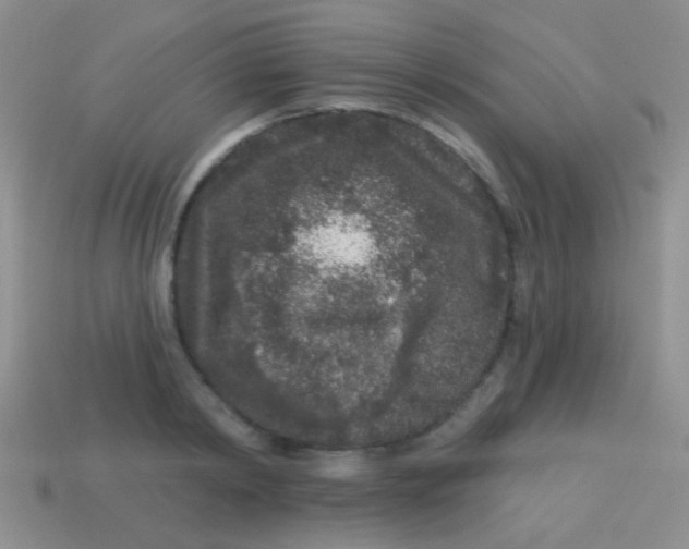 X0000113610798200910161928