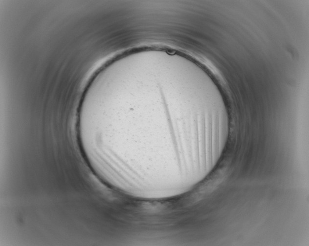 X0000113610799200910161928