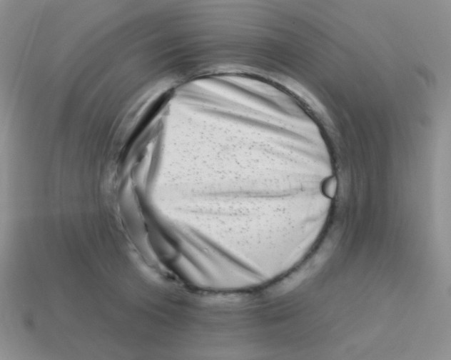 X0000113610801200910161928