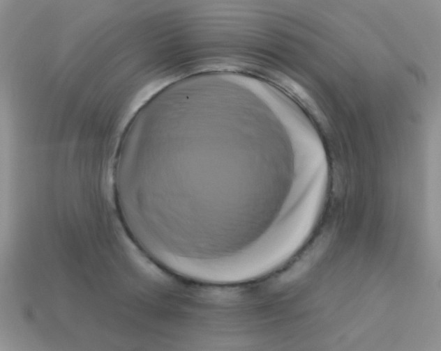 X0000113610802200910161928