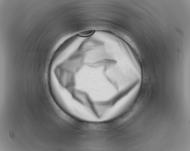 X0000113610803200910161928