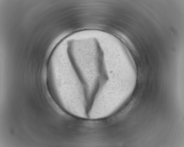 X0000113610804200910161928