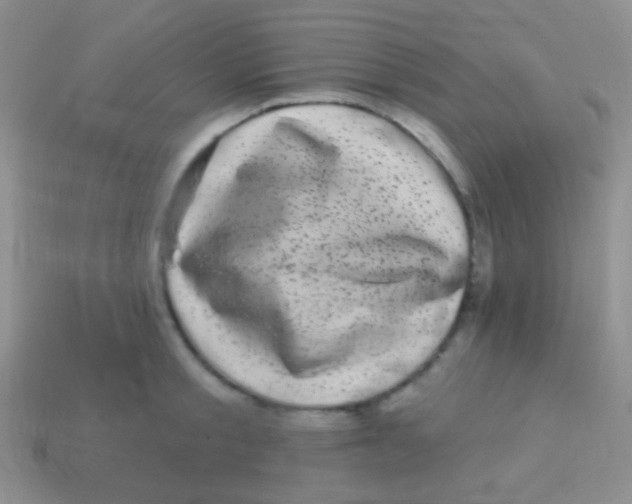 X0000113610805200910161928