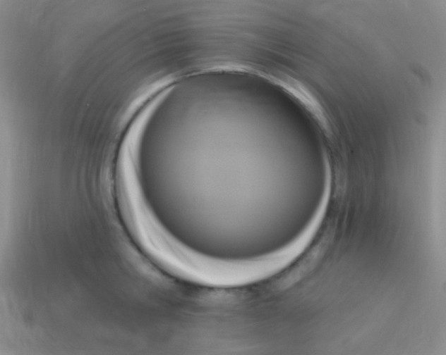 X0000113610806200910161928