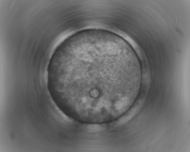 X0000113610807200910161928