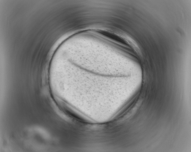 X0000113610808200910161928