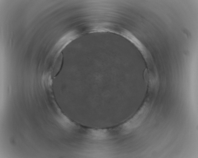 X0000113610809200910161928