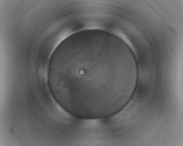 X0000113610810200910161928