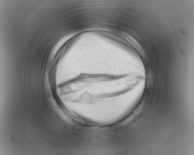 X0000113610812200910161928