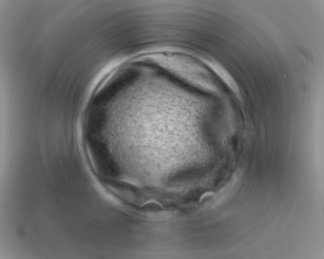 X0000113610813200910161928