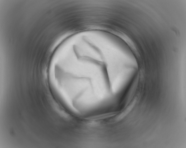 X0000113610814200910161928