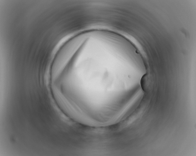 X0000113610815200910161928