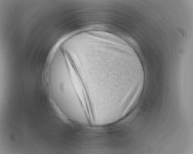 X0000113610816200910161928