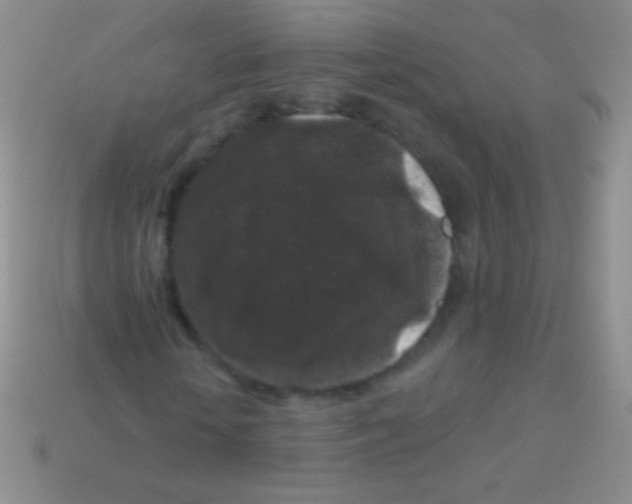 X0000113610818200910161927