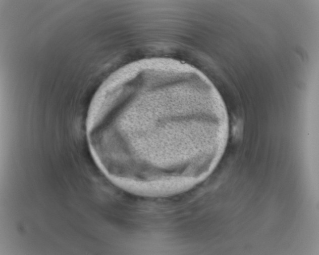 X0000113610819200910161927