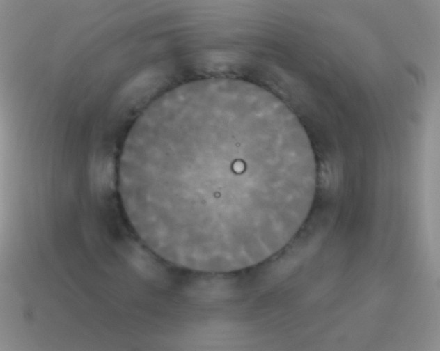 X0000113610820200910161927