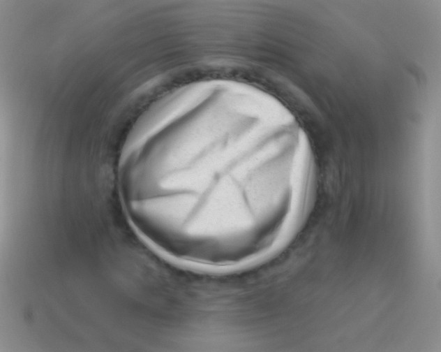 X0000113610821200910161927