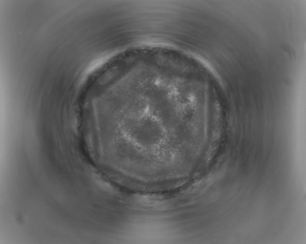 X0000113610823200910161927