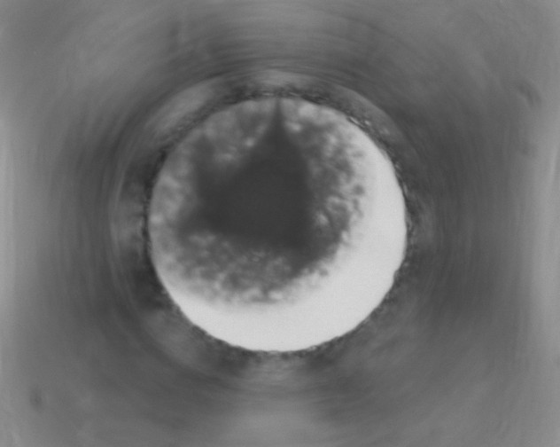 X0000113610824200910161927