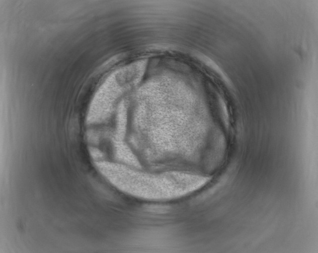 X0000113610825200910161927