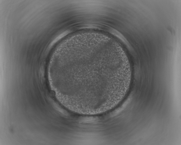 X0000113610826200910161927