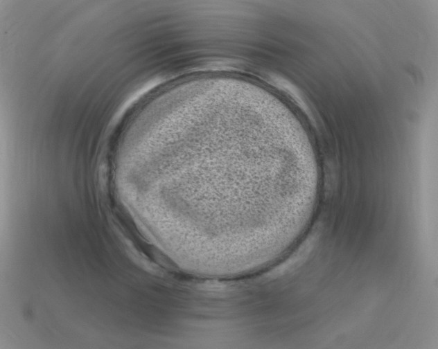 X0000113610827200910161927