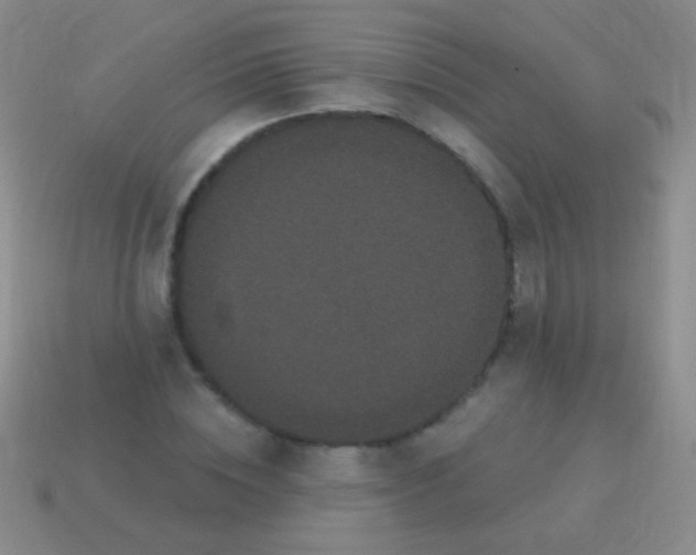 X0000113610828200910161927