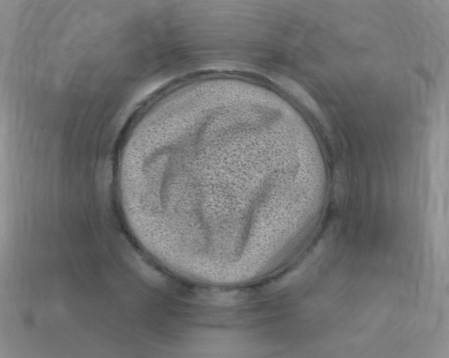 X0000113610831200910161927