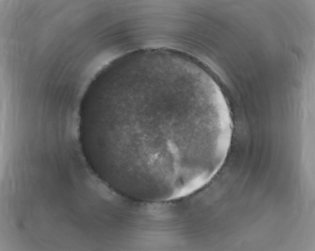 X0000113610832200910161927